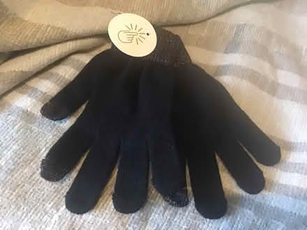 Photo of free Ladies gloves (TQ12 kingskerswell) #1