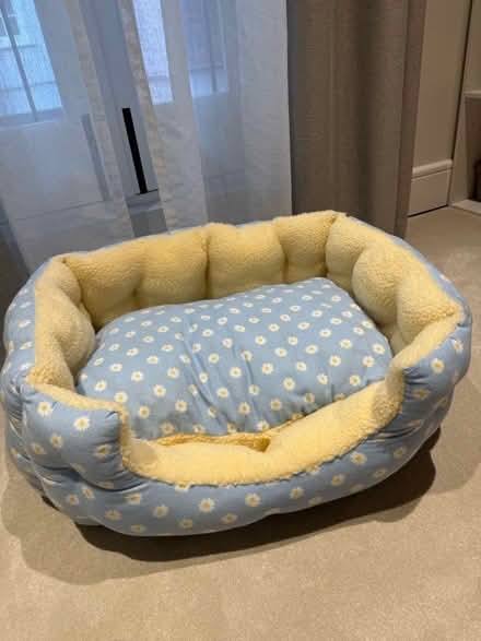 Photo of free Pet bed (South Kensington SW7) #1