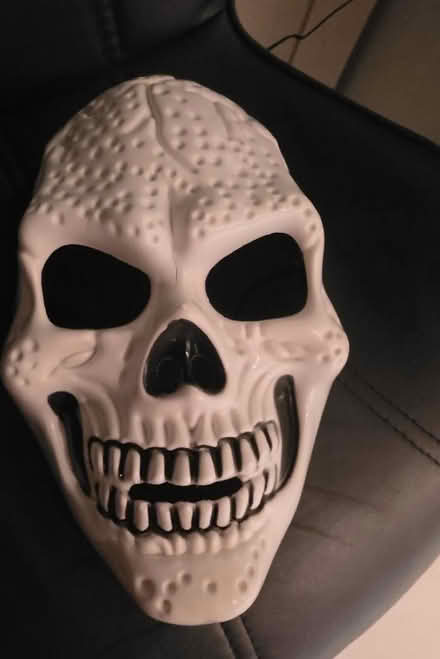 Photo of free Skeleton mask (Rufford L40) #1