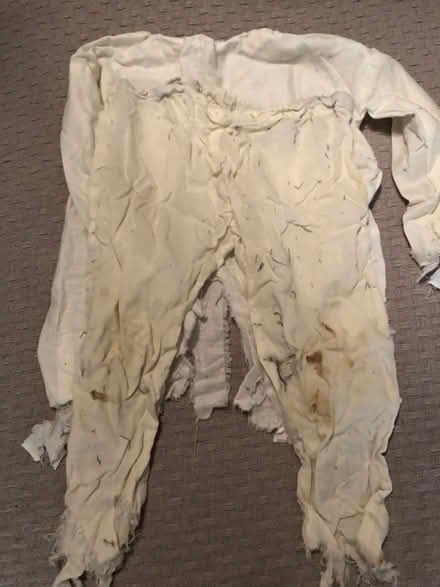 Photo of free Halloween costume pieces (South Irving) #3