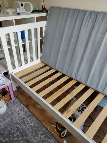 Photo of free Single bed frame and mattress (Hove BN3) #3