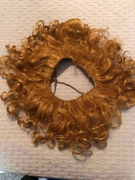 Photo of free Halloween costume pieces (South Irving) #1