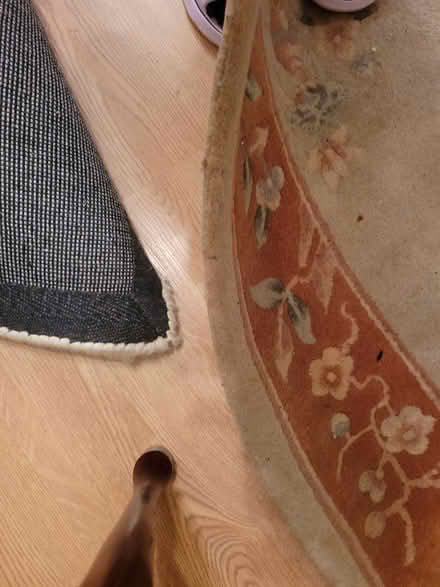 Photo of free Thick pile wool rug (Letchworth SG6) #2