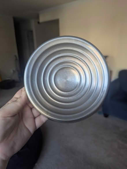 Photo of free Metal Slow-Feed Cat Bowl (Gallows Road / Vienna) #2
