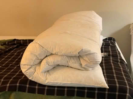 Photo of free Double Duck Feather Cotton Topper (Rochester ME1) #2