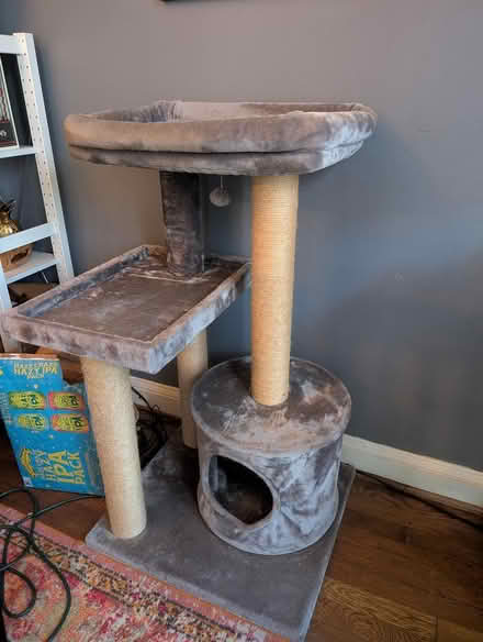 Photo of free Cat Tree (SW DC/Buzzard Point) #1