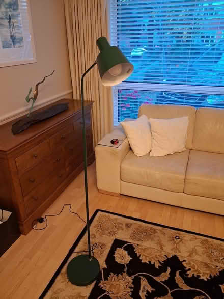 Photo of free Rug/Mirror/Lamps (Ballinteer Dublin 16) #4