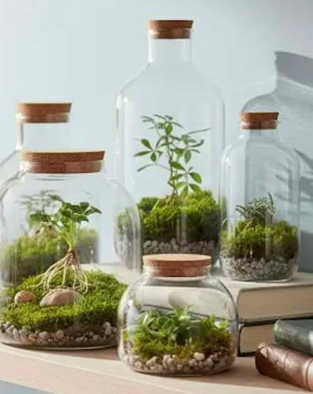 Photo of free 2 terrarium bottles (Chislehurst BR7) #1