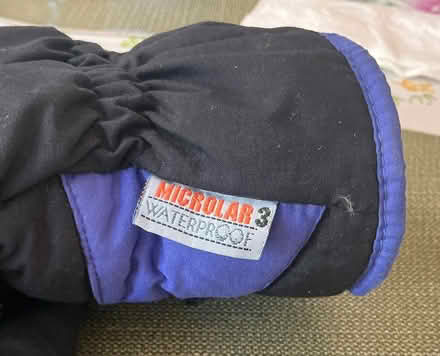 Photo of free Winter Gloves (Terra Linda) #2