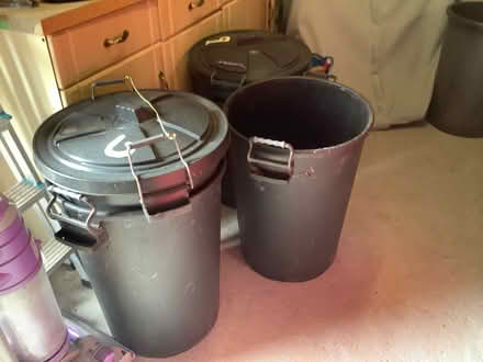 Photo of free Dustbins with lids (Ferndale DY11) #1