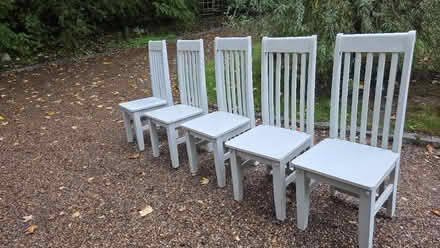 Photo of free 5 kitchen or dining chairs (Old Harlow CM17) #1