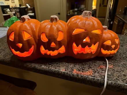 Photo of free Halloween items (near Cabin John Village) #1
