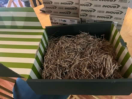 Photo of free Shoe boxes, hamper boxes (Kendal LA9) #3