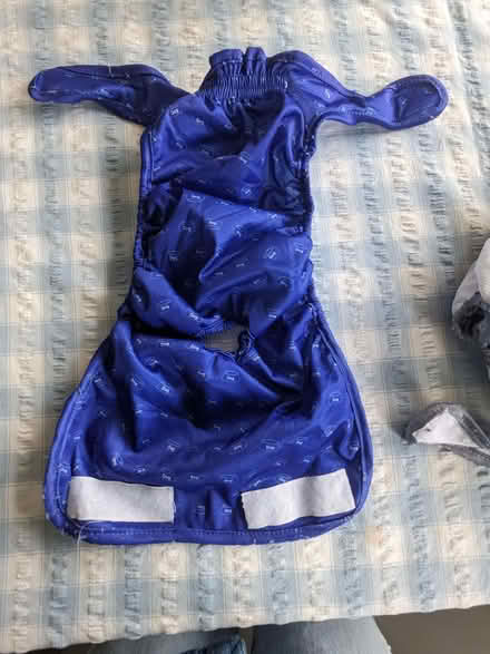Photo of free Dog Nappies (East Dean BN20) #2