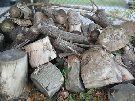 Photo of free Firewood (Barrie l4m 6b7) #1