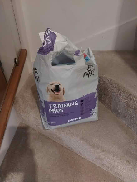 Photo of free Puppy pads (West Kirby CH48) #1