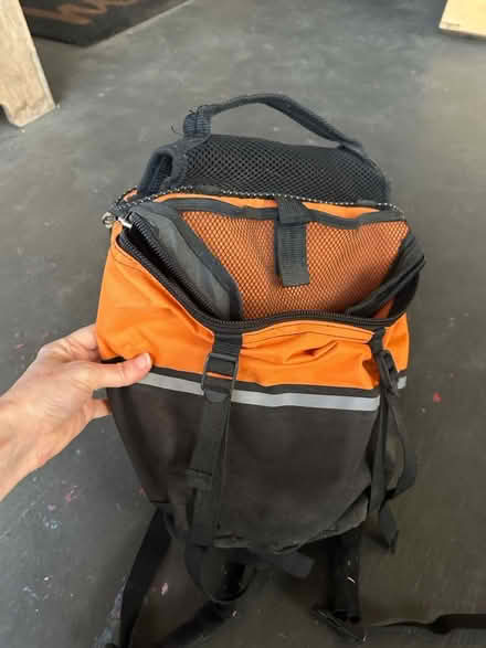 Photo of free dog back pack (Alameda) #2