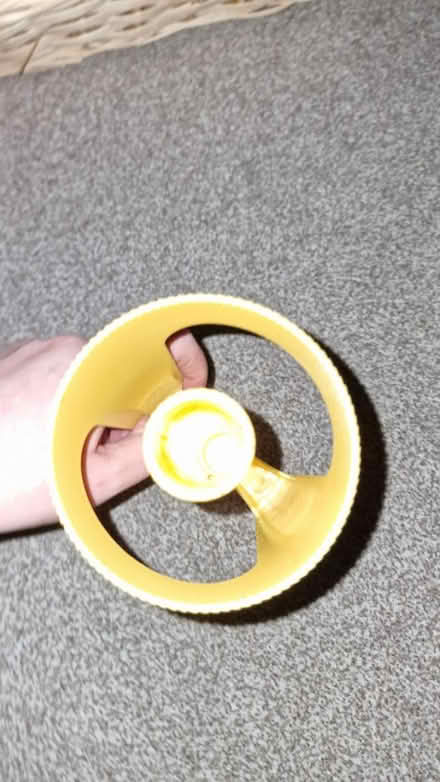 Photo of free Pineapple Corer (Stoke Bishop BS9) #2