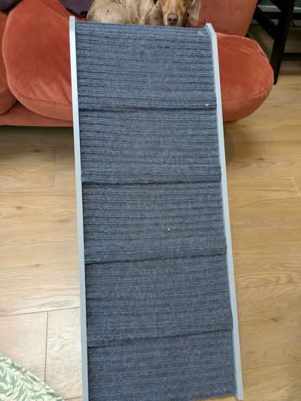 Photo of free Dog ramp (Twickenham TW1) #2