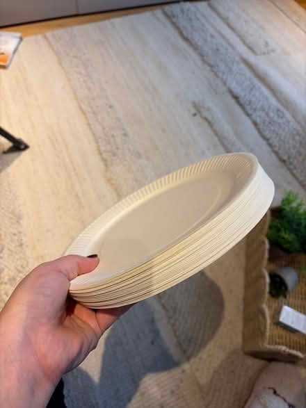 Photo of free Set of paper plates (Mortlake SW13) #1