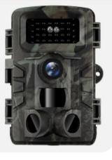 Photo of Wildlife Cam (Thrupp GL5) #1