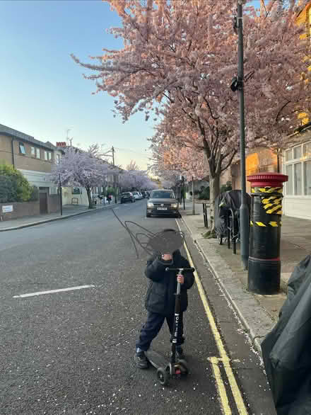 Photo of free Kids kick scooters (Ravenscourt Park W6) #1