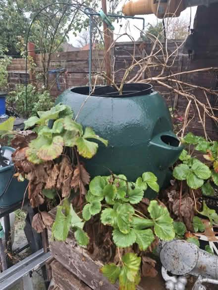 Photo of free 2x large herb growing pots (Letchworth SG6) #2