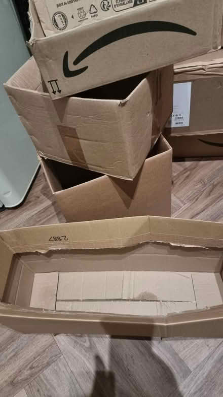 Photo of free Assorted boxes (stroud green N4) #3