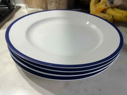 Photo of free 4 big heavy plates (W55ES) #1