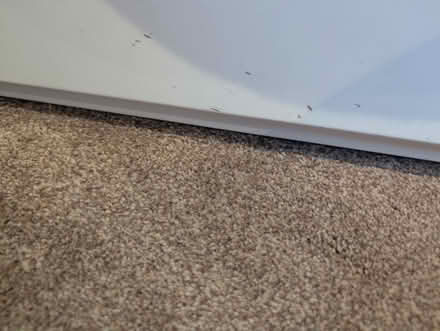 Photo of free Child tipi bed (2) - La Redoute (N10) #4