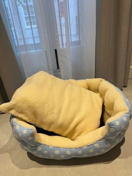 Photo of free Pet bed (South Kensington SW7) #2