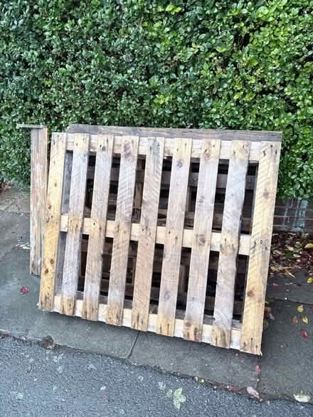 Photo of free 2x Wooden Pallets (Brockley SE4) #2