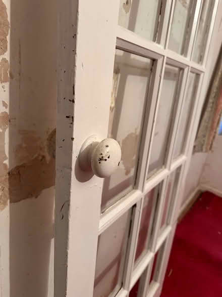 Photo of free Internal glass door (Freeland OX29) #2