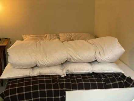 Photo of free Double Duck Feather Cotton Topper (Rochester ME1) #4
