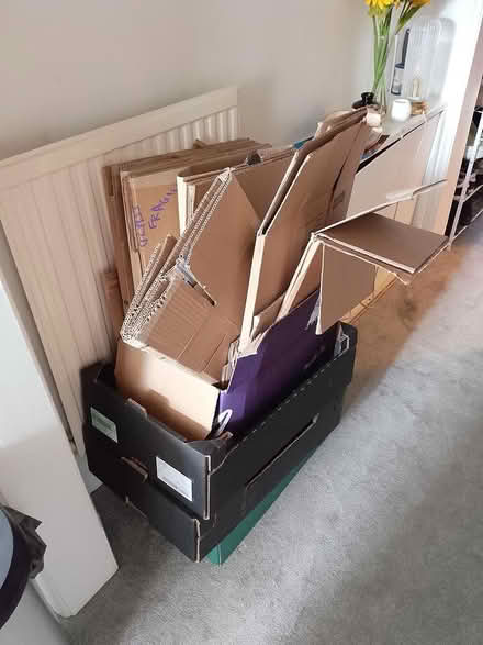 Photo of free Moving boxes (BN1) #1