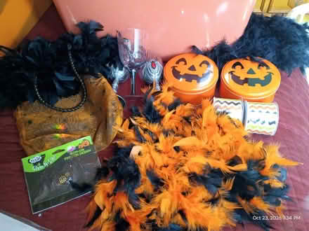 Photo of free Halloween Items (Westmont) #1
