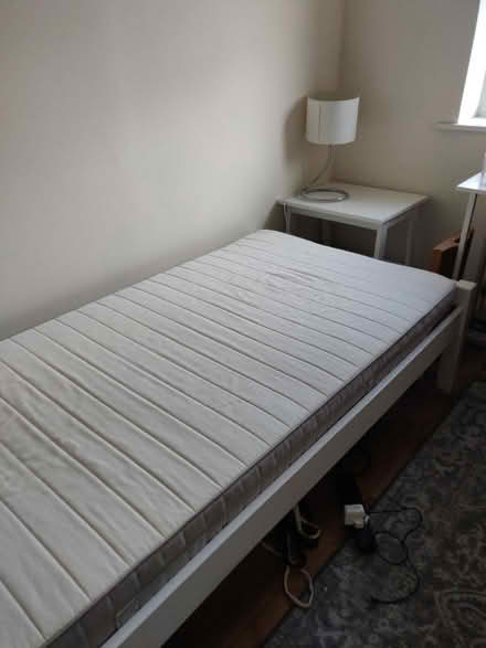 Photo of free Single bed frame and mattress (Hove BN3) #1
