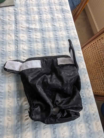 Photo of free Dog Nappies (East Dean BN20) #3