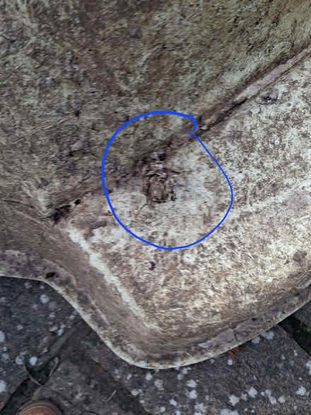 Photo of free Fibreglass pond (Ashill IP25) #2