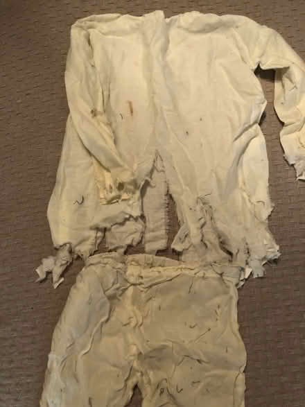 Photo of free Halloween costume pieces (South Irving) #2