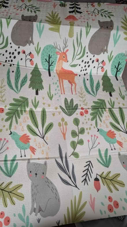 Photo of free Reversible play mat (Heaton Mersey SK4) #2