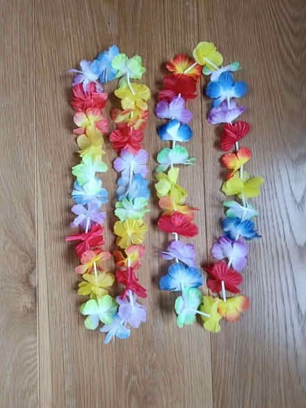 Photo of free Hawaiian Lei x 2 (Sutton Courtenay OX14) #1