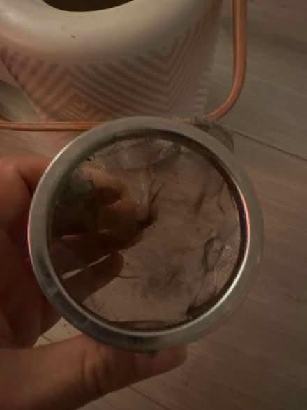 Photo of free Cha & co teapot (Finsbury park) #4