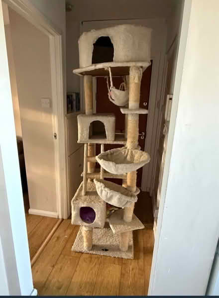 Photo of free Cat tree (Bristol BS5) #1