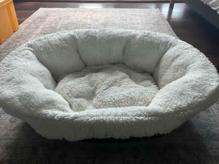 Photo of free Cat / small dog bed (Rusthall TN4) #1