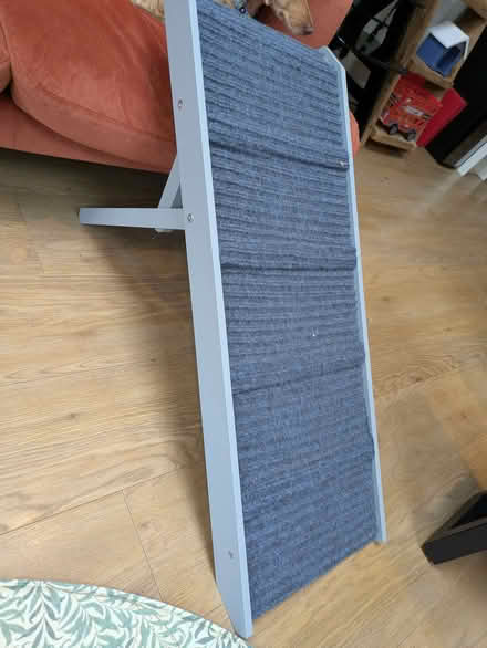 Photo of free Dog ramp (Twickenham TW1) #1