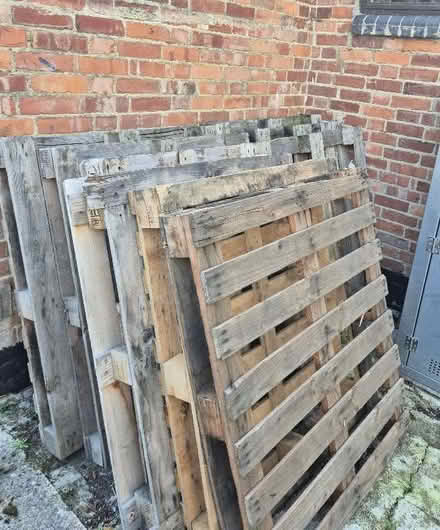 Photo of free pallets (Cold Harbour OX1) #1