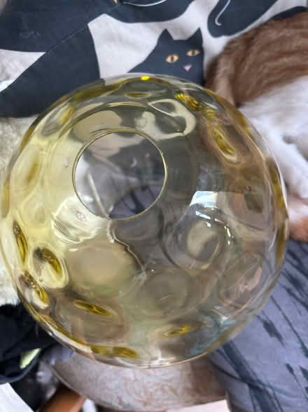 Photo of free Glass lampshade (Gillingham ME7) #2
