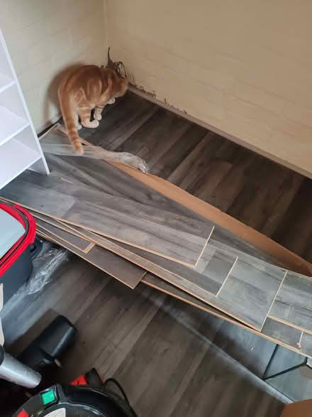 Photo of free Bundle of flooring (Stanmore SO22) #1