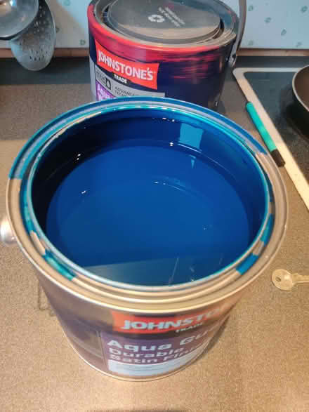 Photo of free Aqua guard satin paint (Meersbrook S8) #2